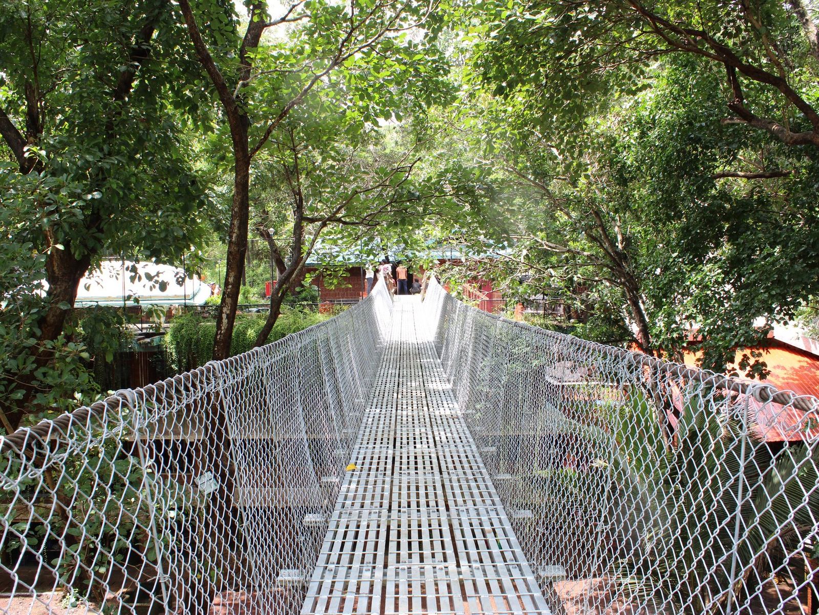 Pedestrian suspension bridge with galvanized steel walkway and wire mesh fencing running through the tree canopy at Torda, North Goa, India, made by Inter Tech Pvt. Ltd., Nepal