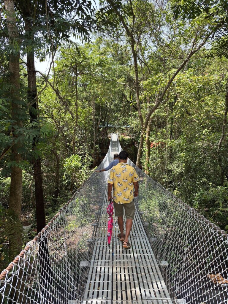 Visitors walking across the pedestrian suspension bridge through the forest canopy at Torda, North Goa, India, built by Inter Tech Pvt. Ltd., Nepal